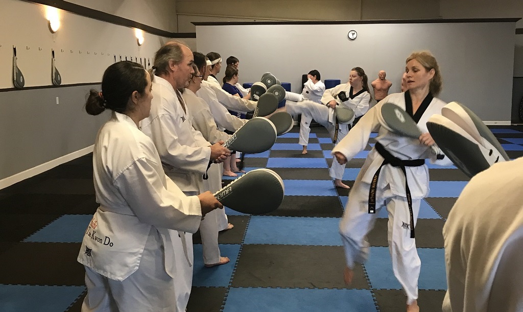Shiba Taekwondo Adult Class