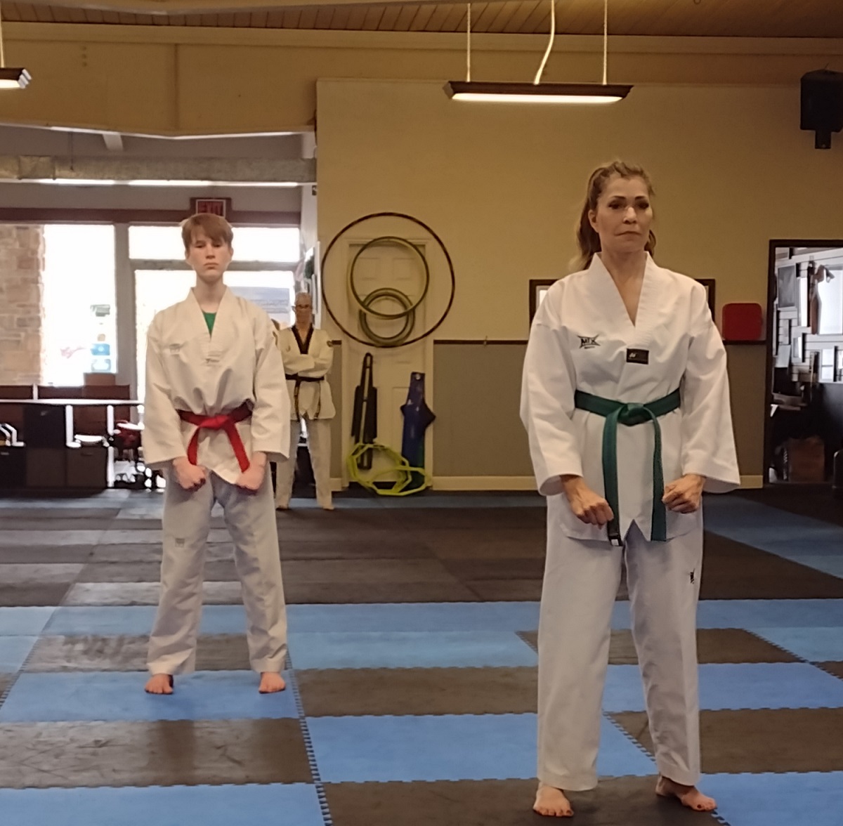 Shiba Taekwondo Adult Class