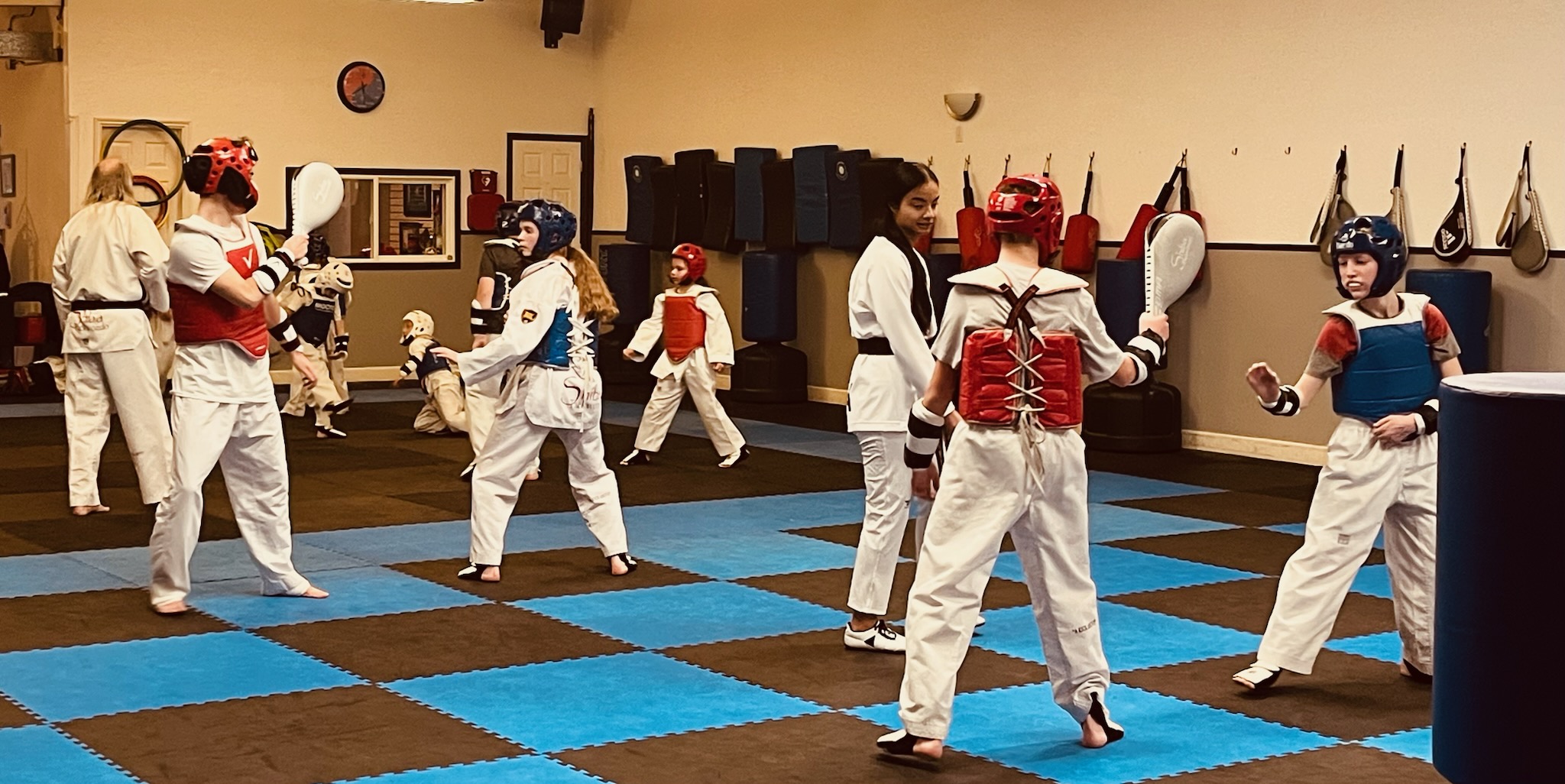 Shiba Taekwondo Sparring Class